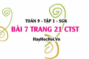 Bài 7 trang 21 Toán 9 tập 1 Chân trời sáng tạo SGK